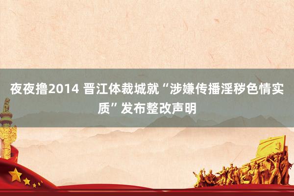 夜夜撸2014 晋江体裁城就“涉嫌传播淫秽色情实质”发布整改声明