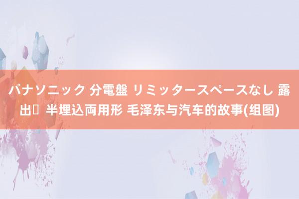 パナソニック 分電盤 リミッタースペースなし 露出・半埋込両用形 毛泽东与汽车的故事(组图)